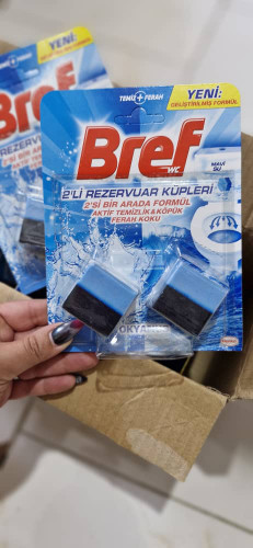 بوگیر و جرم گیر توالت فرنگی